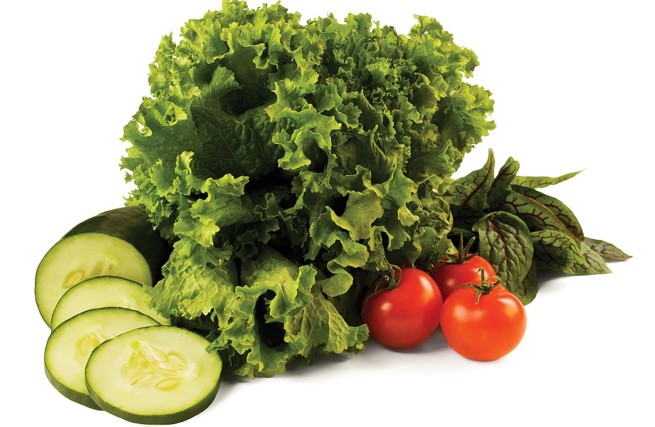Kale, cucumbers, and tomatoes on a white background