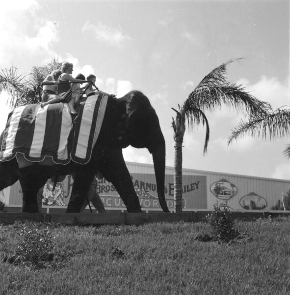 Circus World Showcase