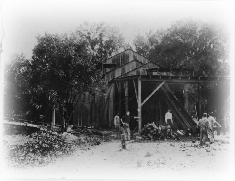 Donald Cheney at Orlando Water and Light Company 1909