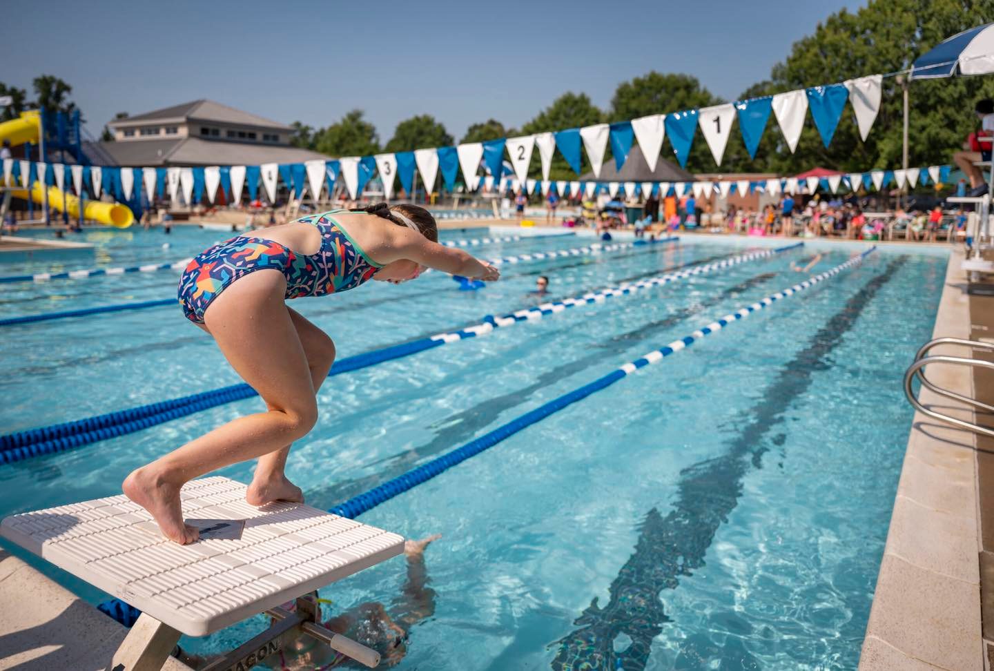 Young girl on a swim meet starting block getting ready to dive into the water during a YMCA Swim Meet